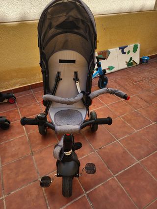 Triciclo evolutivo 