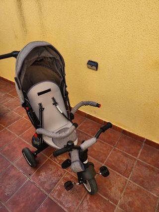 Triciclo evolutivo 
