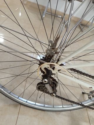 Bicicleta Orbea clásica
