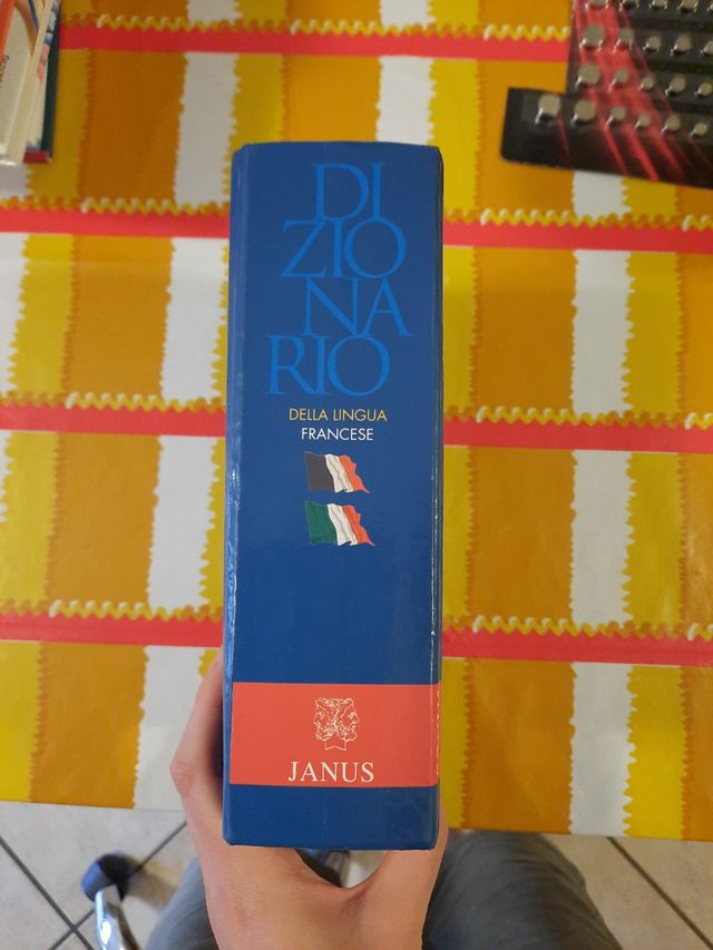 Dizionario francese Janus
