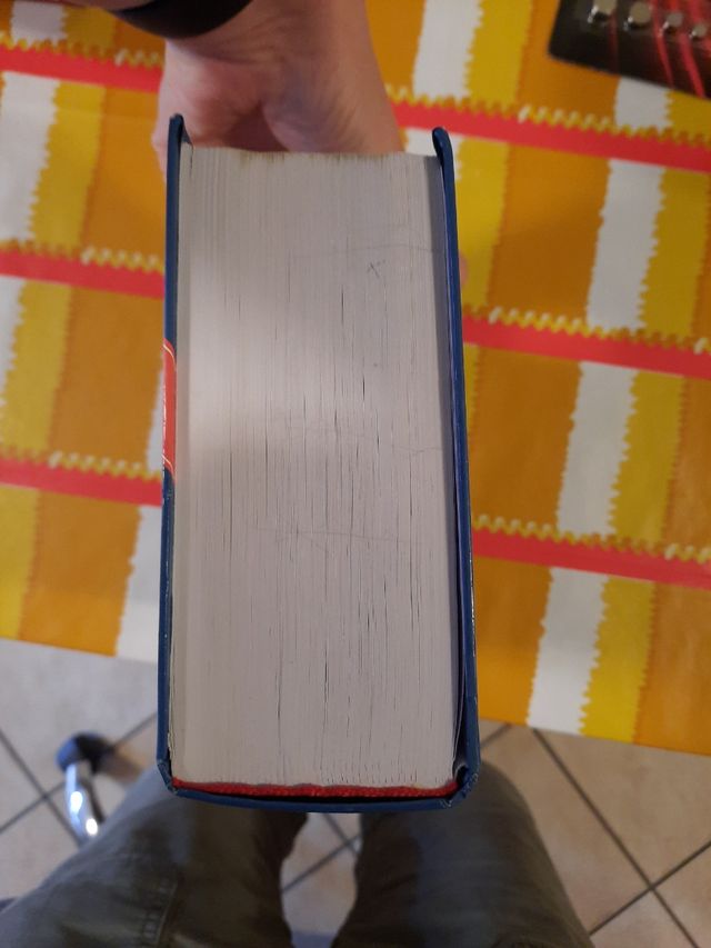 Dizionario francese Janus