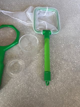 Kit de explorador de insectos