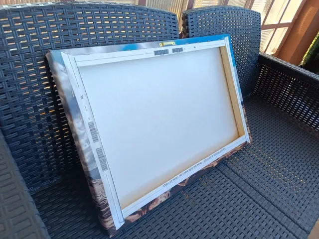 Quadro Tela - Fotografia ginepro Sardegna spiaggia