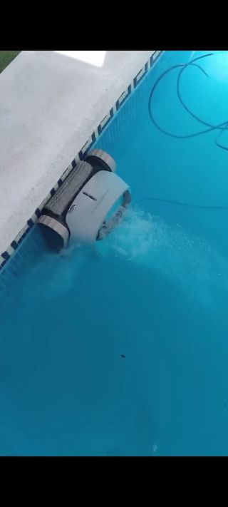 Dolphin Seamaster Plus limpiafondos piscina 