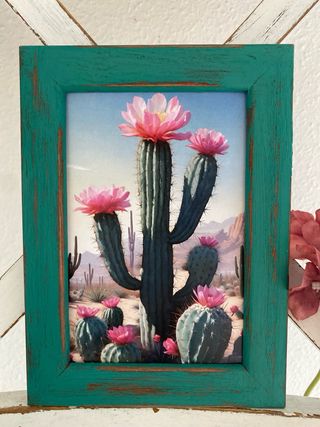 Lote cuadros verdes cactus en macetas 
