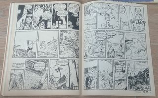 Lote cómics El Víbora