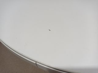Mesa semicircular blanca