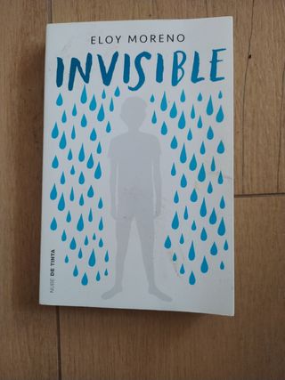 Invisible / Invisible (Spanish Edition)