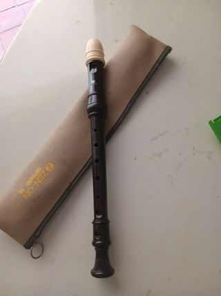 Flauta dulce escolar