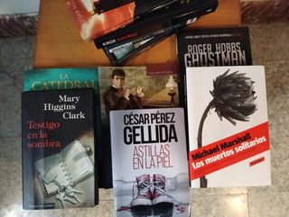 Lote de libros (sobretodo novela negra)