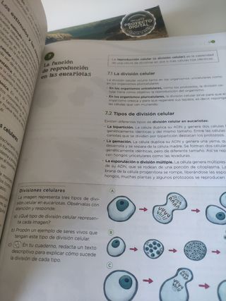 Biología y Geología 4