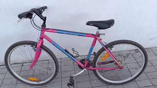 Bicicleta Skywings MTB