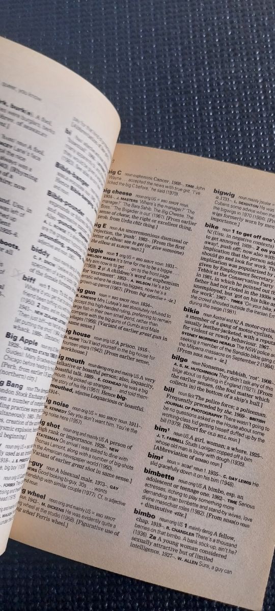 The Oxford Dictionary of Modern Slang (Oxford Q...