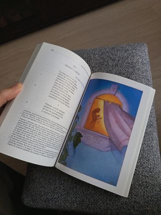 Antologia De La Lirica Amorosa N/e