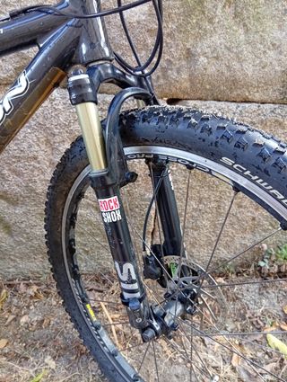 Bicicleta carbono Demón