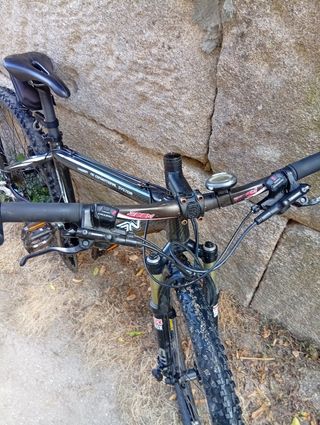 Bicicleta carbono Demón