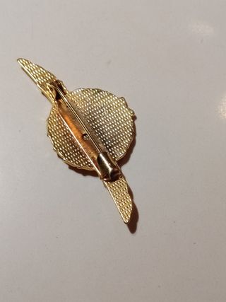 Insignia piloto ala dorada