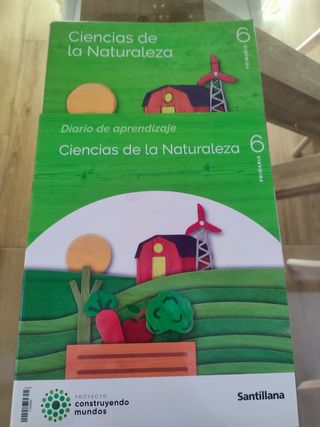 Lote libros de 6 primaria 