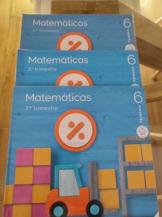 Lote libros de 6 primaria 