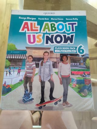 Lote libros de 6 primaria 