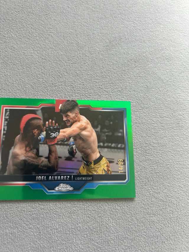 Joel Álvarez UFC 14/99 Green