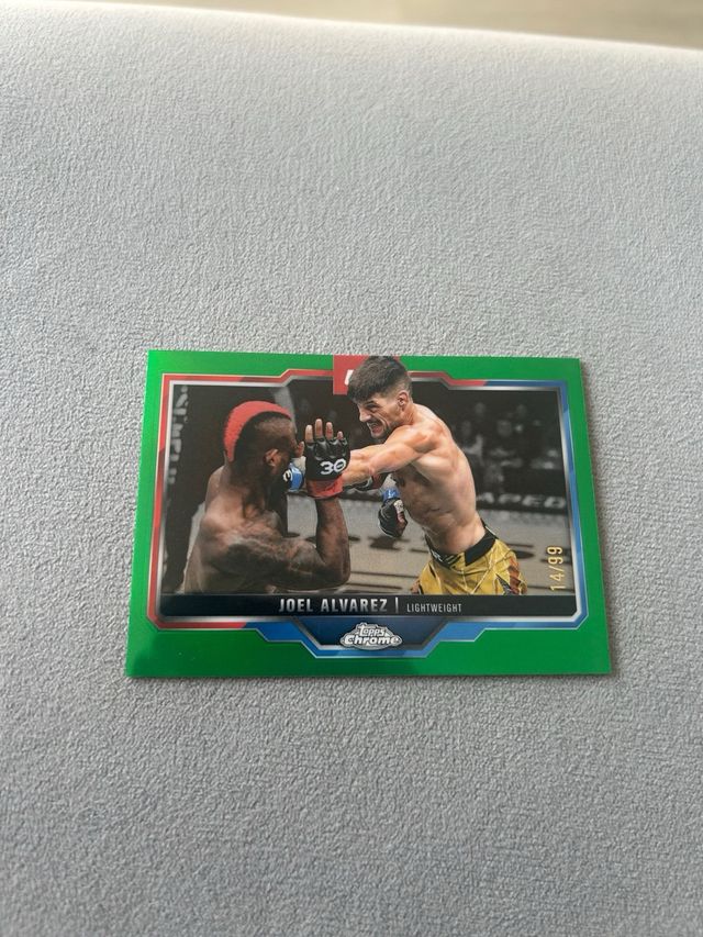 Joel Álvarez UFC 14/99 Green
