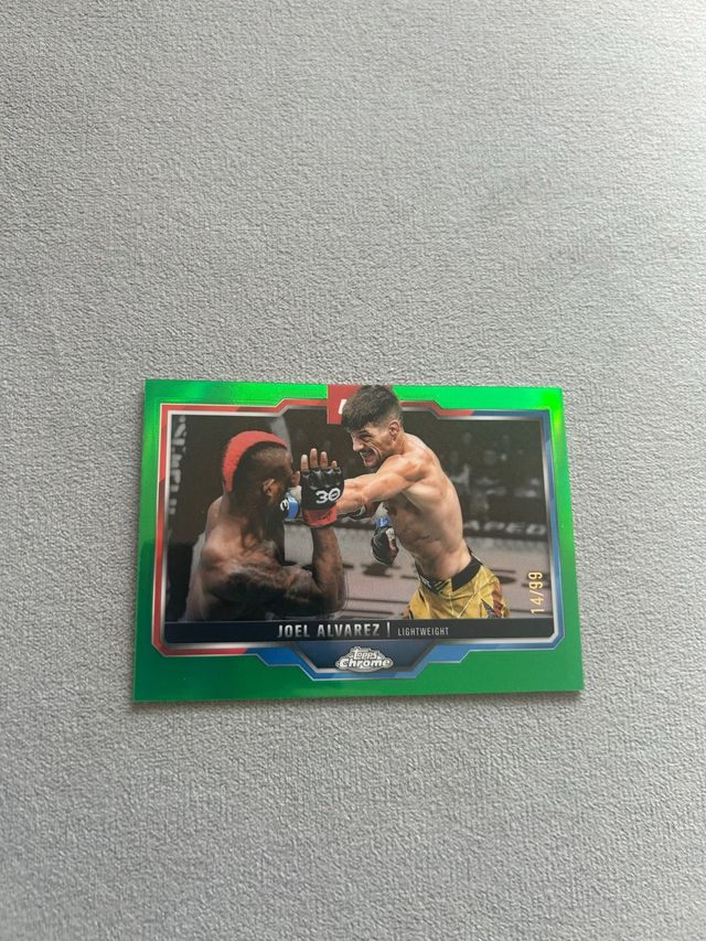 Joel Álvarez UFC 14/99 Green
