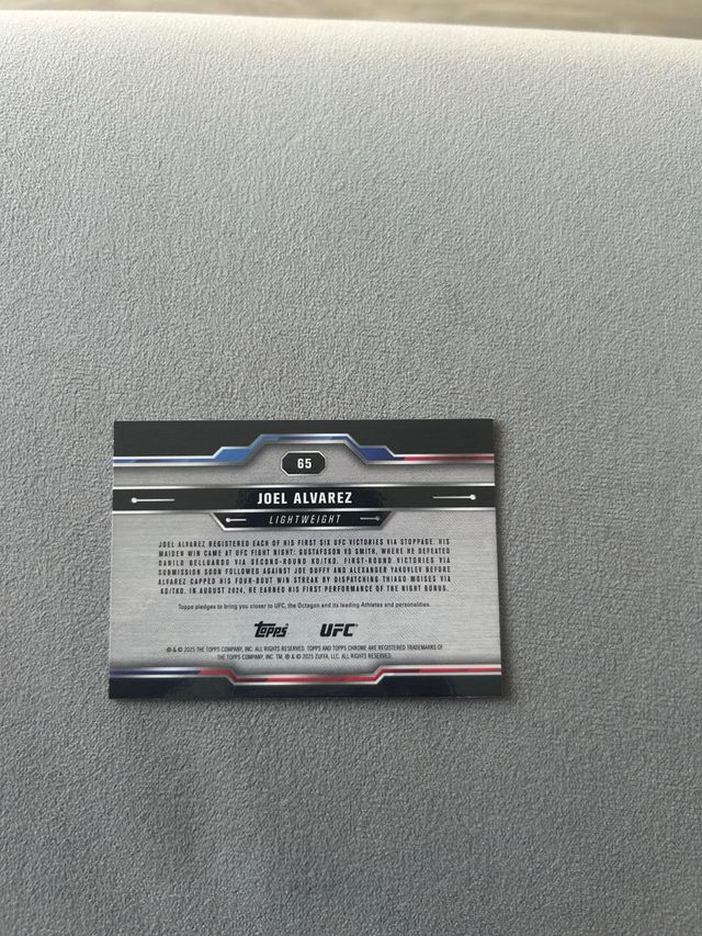 Joel Álvarez UFC 14/99 Green