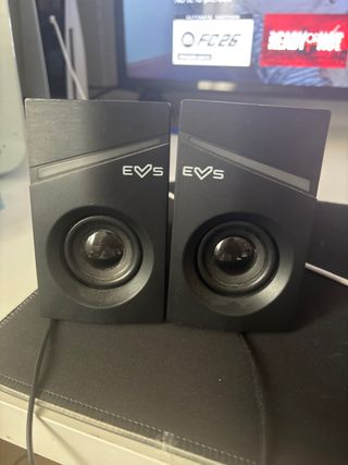 Altavoces negros EVS
