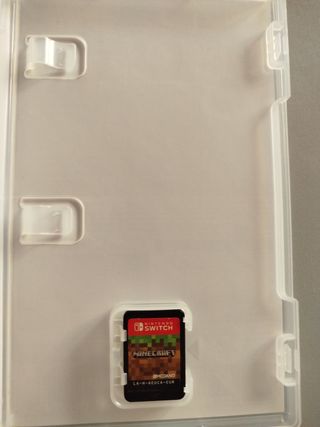 Minecraft Nintendo Switch