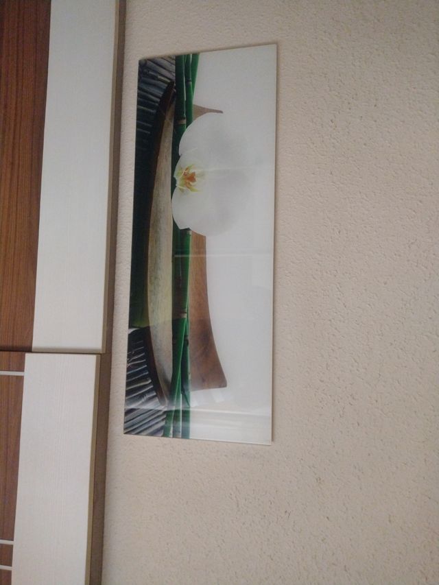 Cuadros de orquídeas en cristal NO HAGO ENVIO