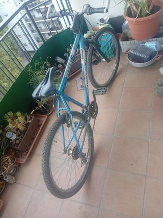 Bicicleta Torpado con ruedas y cámaras nuevas