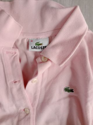 vestiti da padel Lacoste e Tommy Hilfiger. Lotto 48