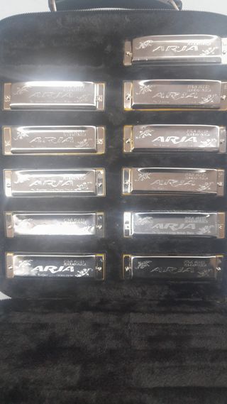 Set di armoniche Aria Vintage AH1020 (12 pezzi)