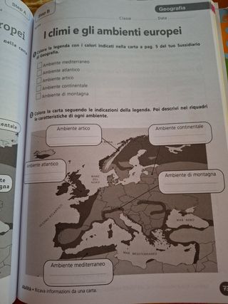 Prova invalsi matematica 5