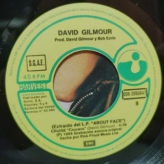 David Gilmour - Blue Light 1984 Vinilo