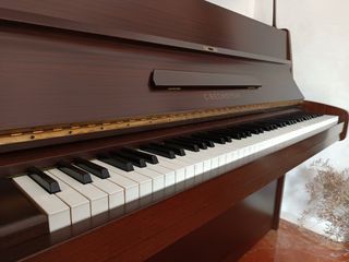 Piano C. Bechstein Nogal Satinado 1972/73
