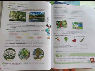 Libros de 4° de primaria