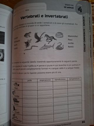 Tutto esercizi matematica 5