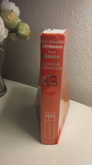 Diccionario Primaria. Nivel Básico (Spanish Edi...
