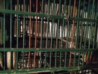 Gabbia tordo o uccellini vari con bicchierino