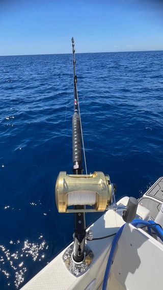 Cañas de Pescar TRIDENT 130 REELEASY