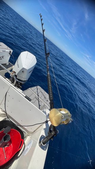 Cañas de Pescar TRIDENT 130 REELEASY