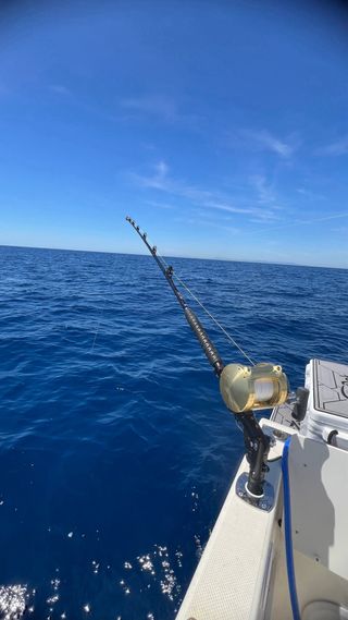 Cañas de Pescar TRIDENT 130 REELEASY