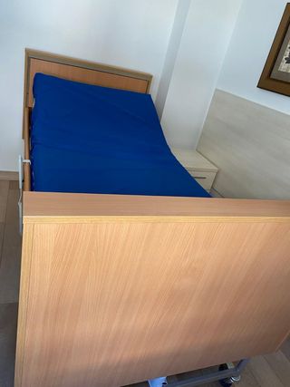 Cama Geriátrica Seminueva