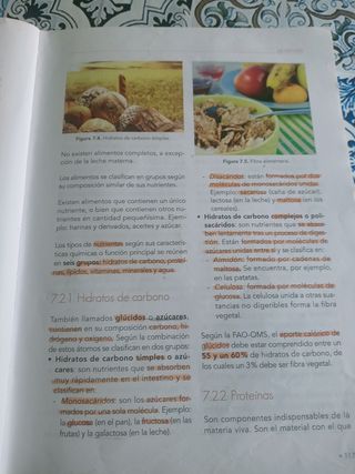 Imagen corporal y hábitos saludables