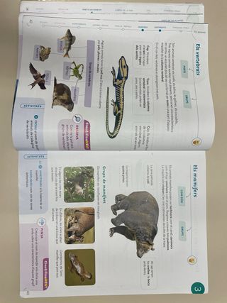 CONEIXEMENT DEL MEDI 3 PRIMARIA CONSTRUINT MONS