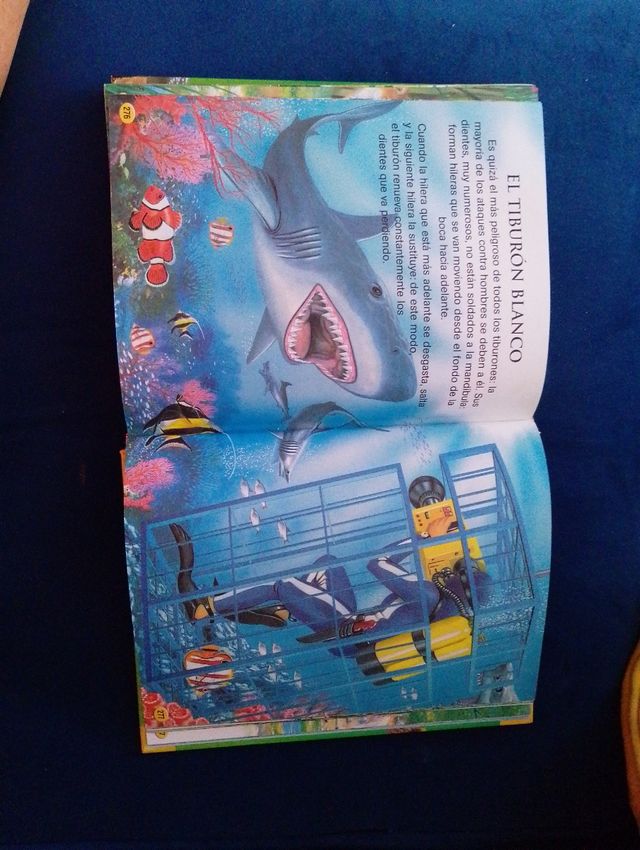 Animales del mundo (Mi Libro Dorado) (Spanish E...