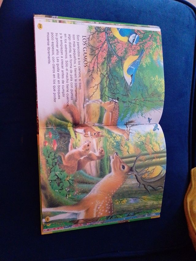 Animales del mundo (Mi Libro Dorado) (Spanish E...