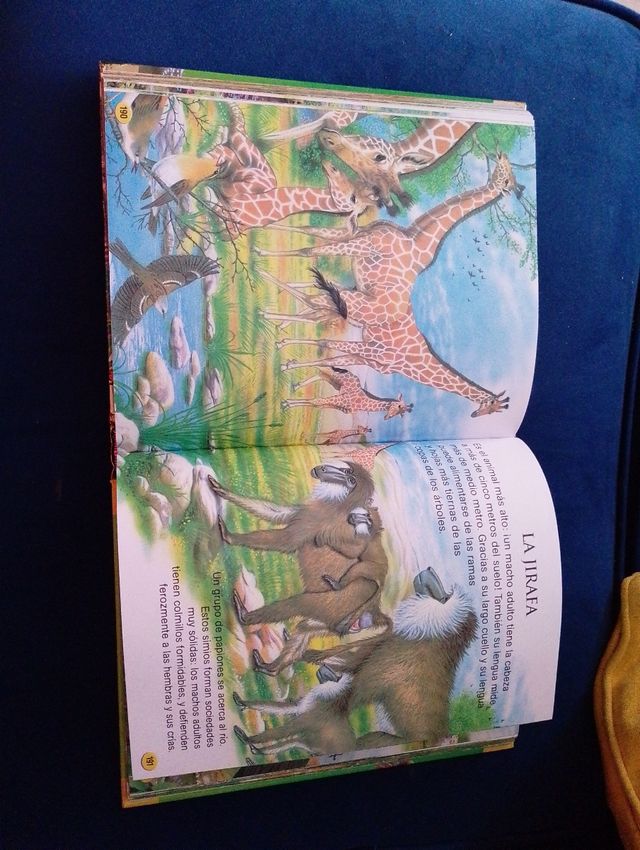 Animales del mundo (Mi Libro Dorado) (Spanish E...